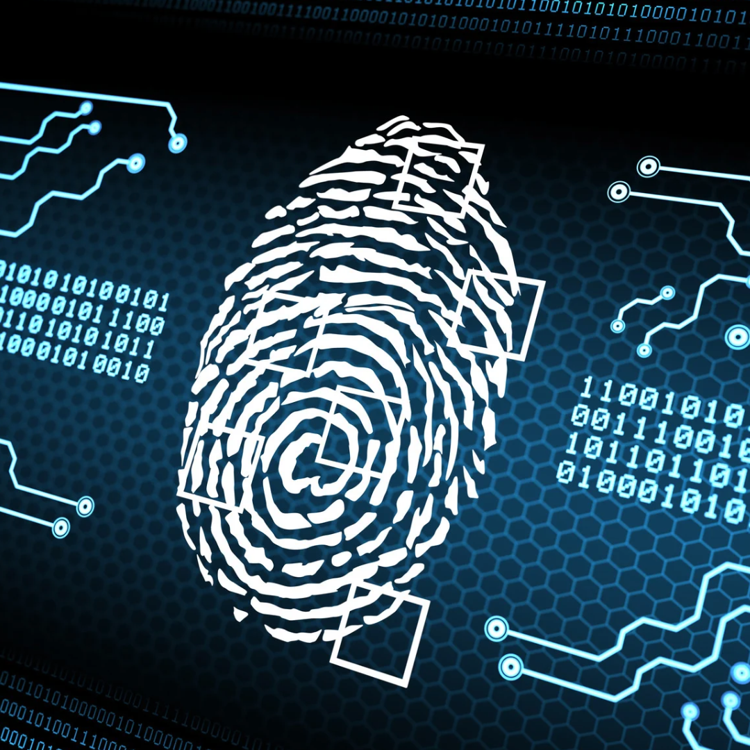 The Privacy Challenges of Centralized Disability Health Data Systems